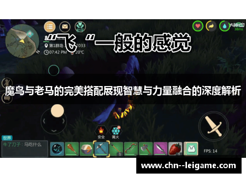 魔鸟与老马的完美搭配展现智慧与力量融合的深度解析