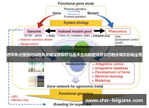 德甲焦点强强对话胜负关键深度解析与战术走向前瞻球员状态教练博弈影响全局